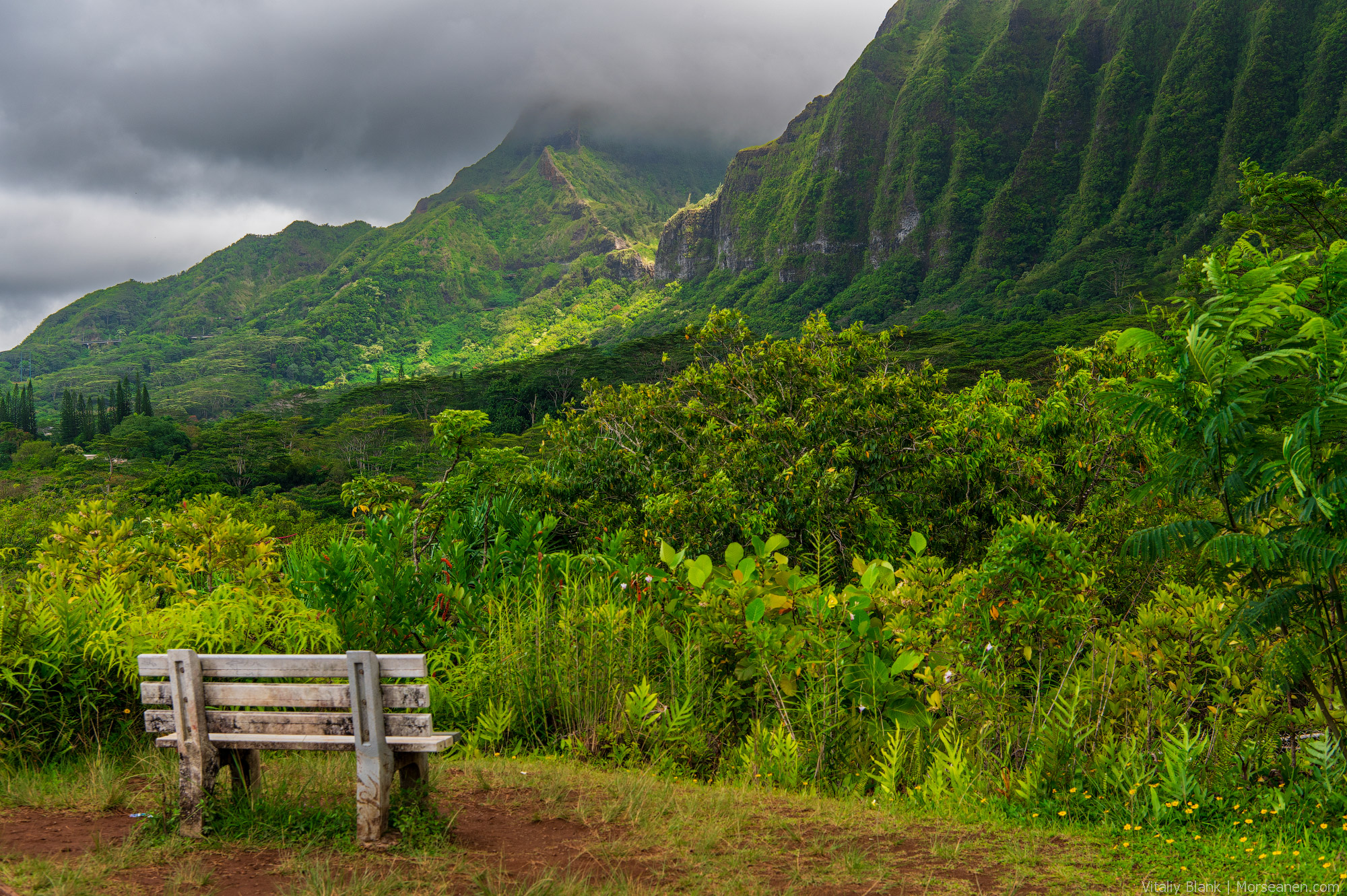 Hawaii-Nature-(36)