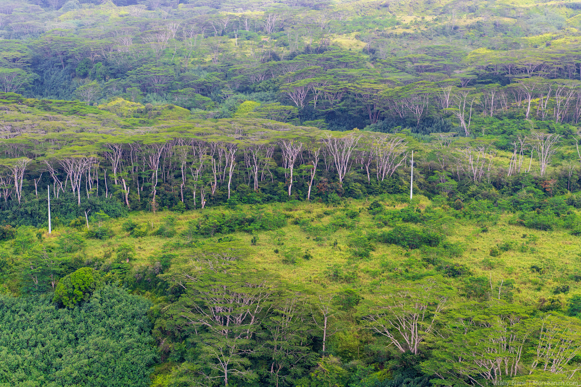 Hawaii-Nature-(26)