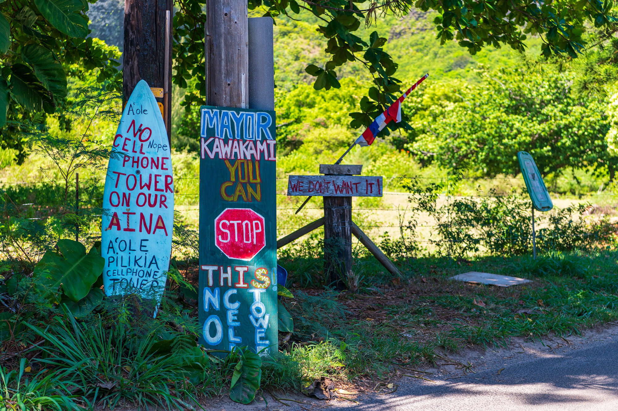 Hawaii-Locals-(4)